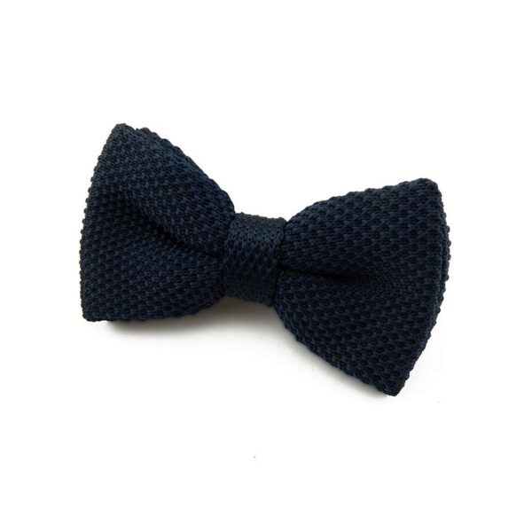 Noeud papillon bleu marine