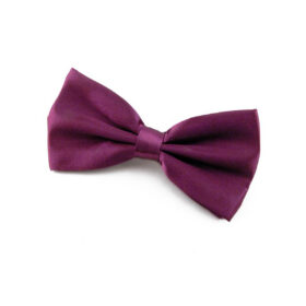 Noeud papillon framboise