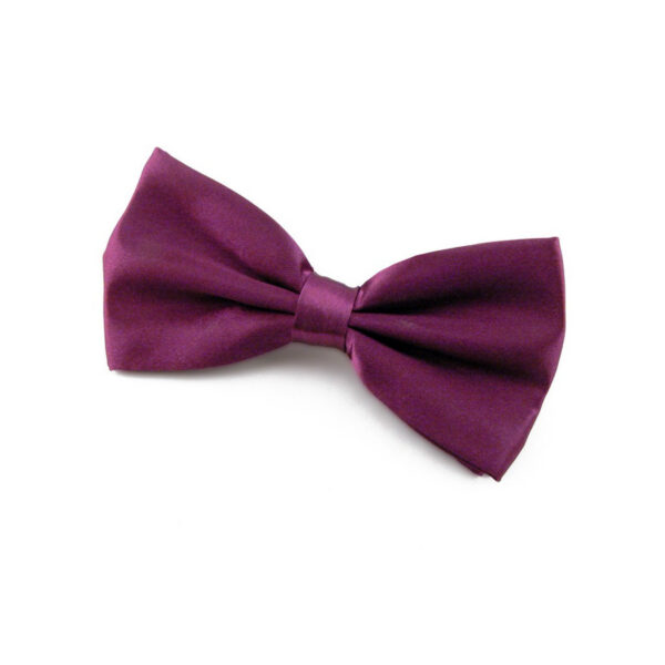 Noeud papillon framboise