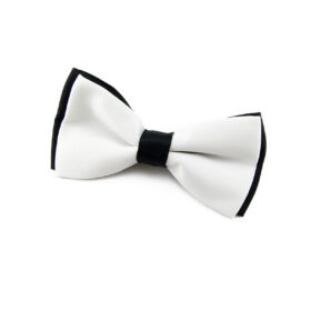 Noeud papillon blanc et noir