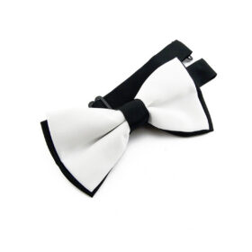Noeud papillon blanc et noir