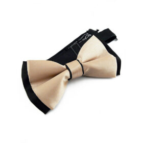 Noeud papillon or sur fond noir