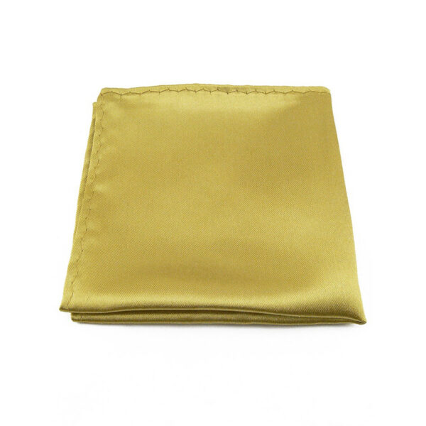 Pochette de costume