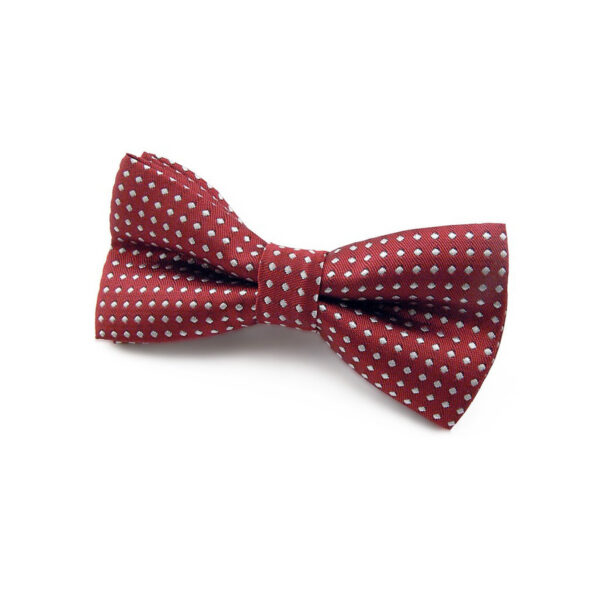 Nœud papillon Enfant Bordeaux