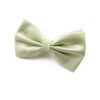 Nœud papillon vert pâle