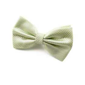 Nœud papillon vert pâle