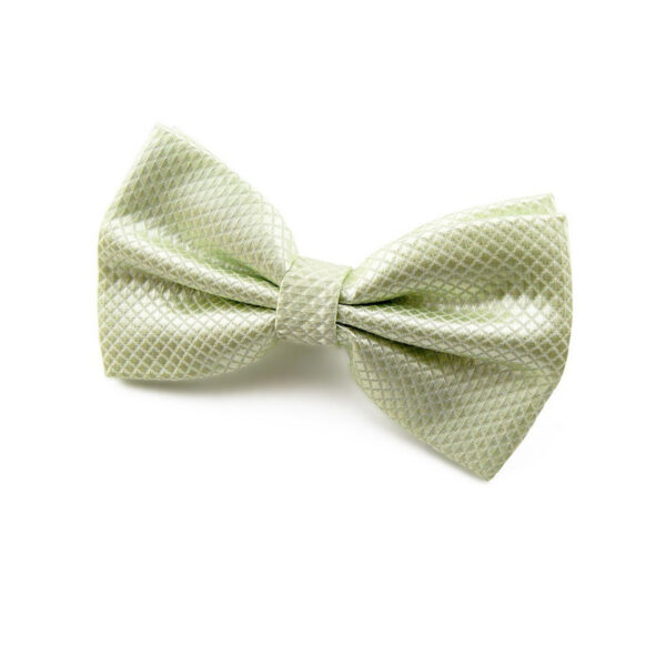 Nœud papillon vert pâle