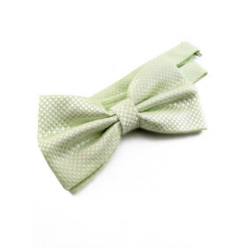 Nœud papillon vert pâle
