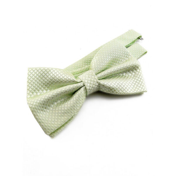 Nœud papillon vert pâle