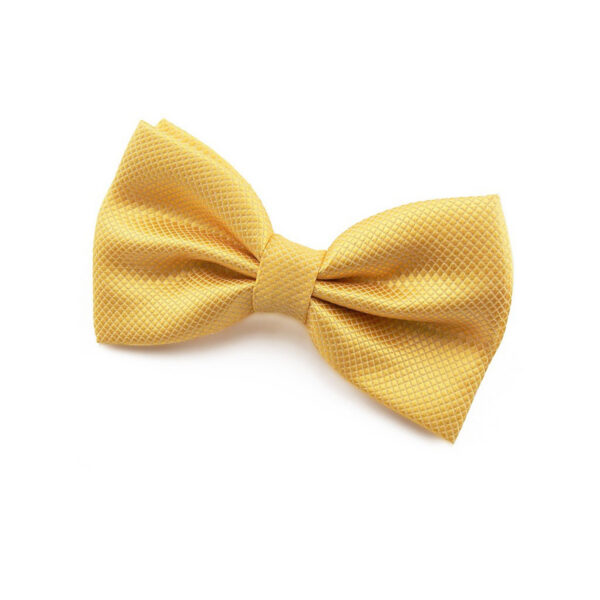Nœud papillon jaune