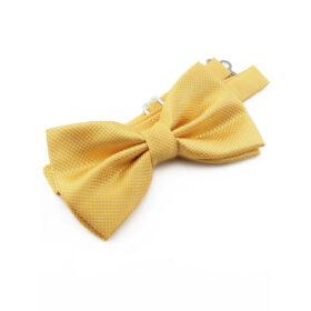 Nœud papillon jaune
