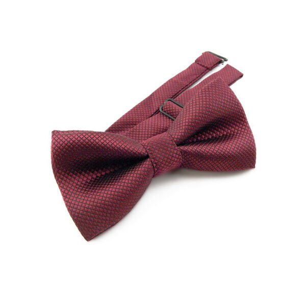 Nœud papillon Enfant bordeaux