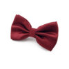 Nœud papillon rouge cerise