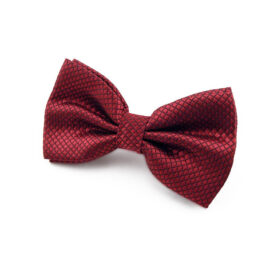 Nœud papillon rouge cerise