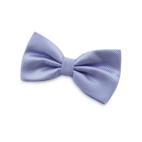 Nœud papillon bleu myosotis