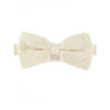 Noeud papillon champagne