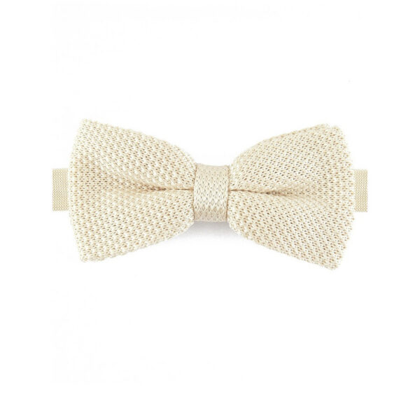 Noeud papillon champagne