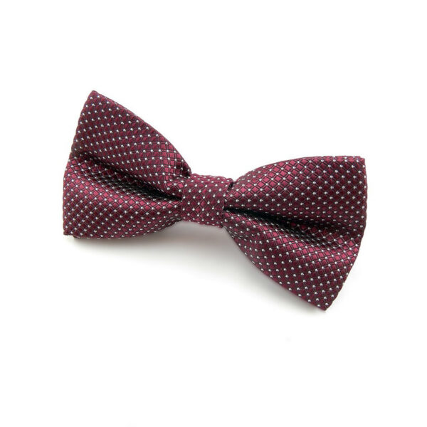 Noeud papillon Bordeaux à pois argent