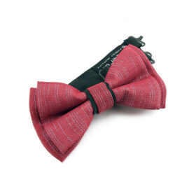 Noeud papillon rouge et argent