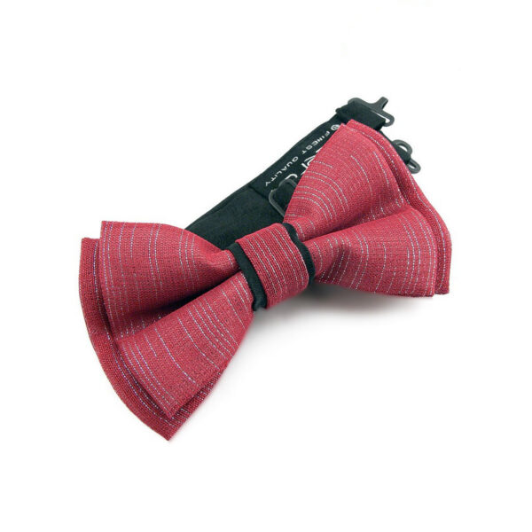 Noeud papillon rouge et argent