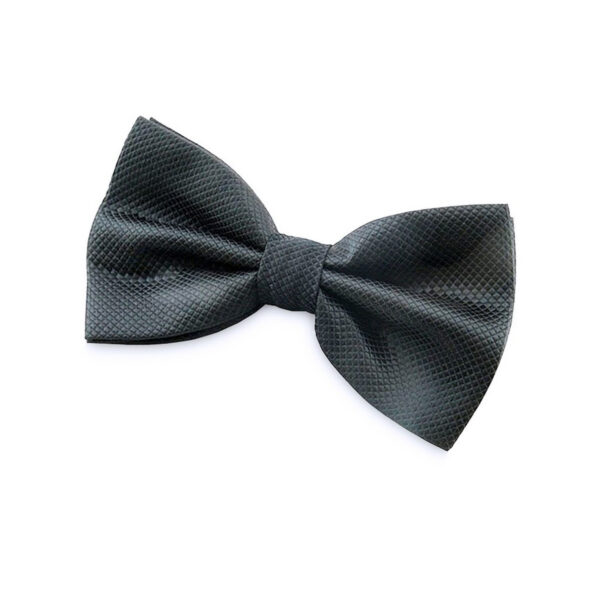 Nœud papillon gris foncé