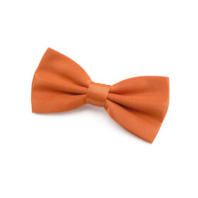 Nœud papillon orange