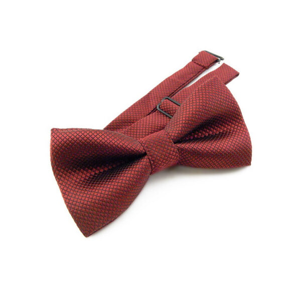 Nœud papillon rouge cardinal pour Enfant