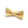 Nœud papillon jaune clair pour Enfant