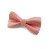 Nœud papillon saumon pour Enfant