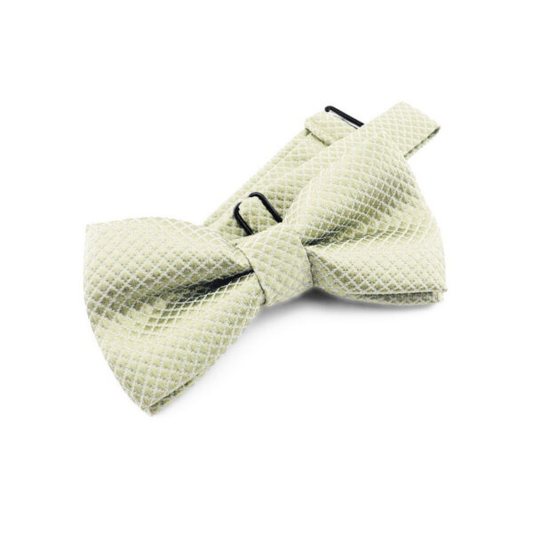 Nœud papillon vert pâle pour Enfant