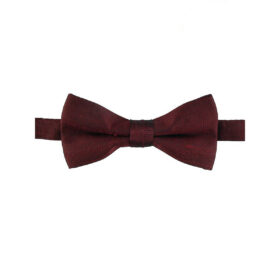 Nœud papillon Bordeaux pour Enfant