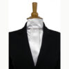 Plastron de dressage