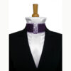Cravate de dressage prune