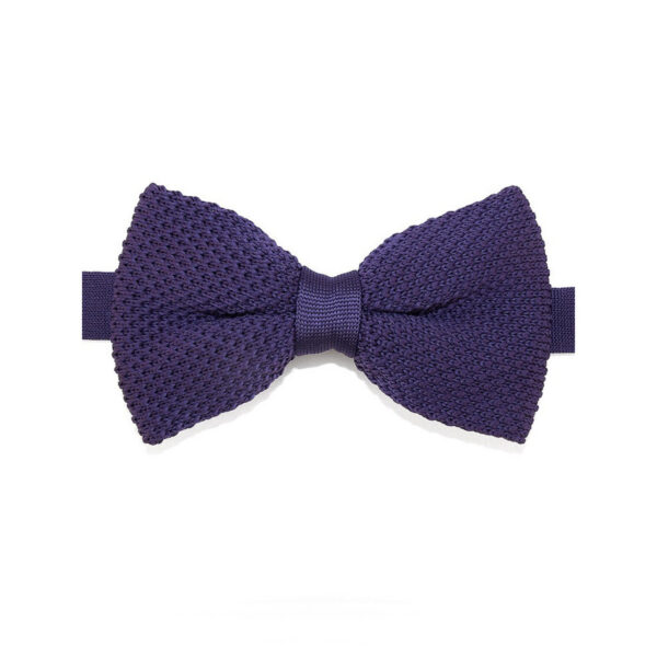 Noeud papillon améthyste