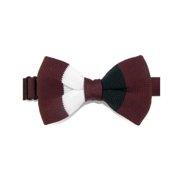 Noeud papillon rayé
