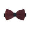 Noeud papillon rouge et noir