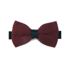 Noeud papillon rouge et noir