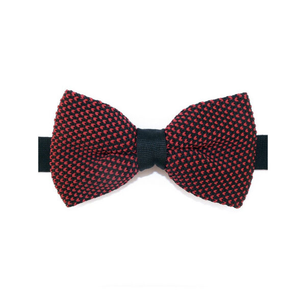 Noeud papillon rouge et noir
