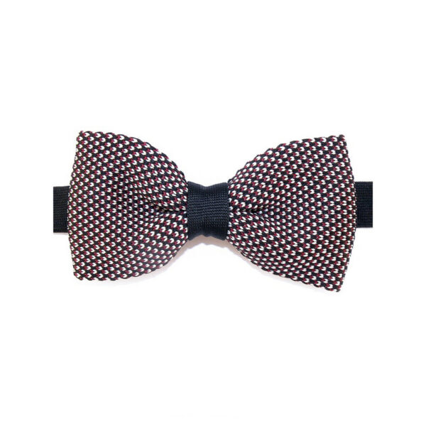 Noeud papillon 3 couleurs