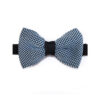 Noeud papillon bleu et noir