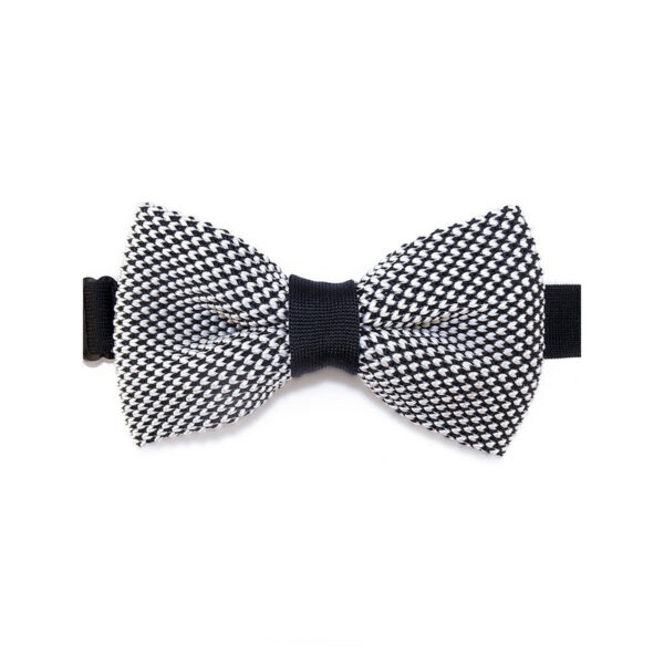 Noeud papillon noir et blanc
