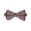 Noeud papillon noir et blanc