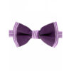 Noeud papillon prune et violet