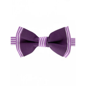 Noeud papillon prune et violet