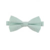 Noeud papillon vert d'eau