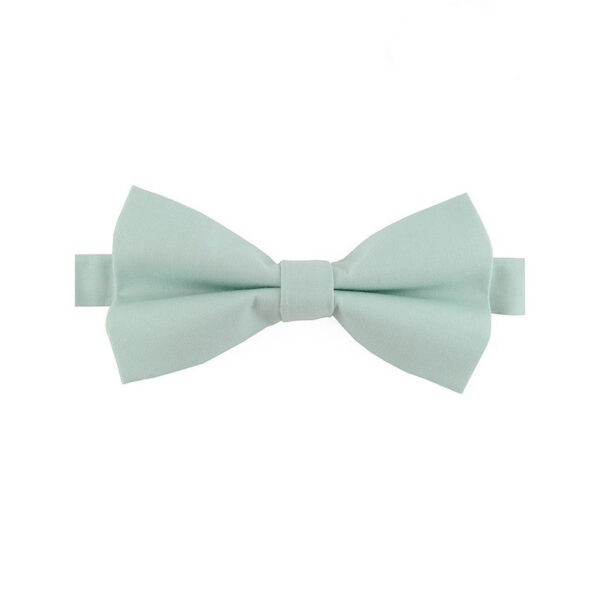 Noeud papillon vert d'eau