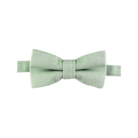 Nœud papillon vert tilleul pour enfant