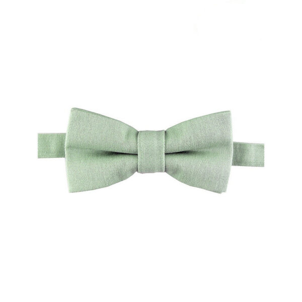 Nœud papillon vert tilleul pour enfant