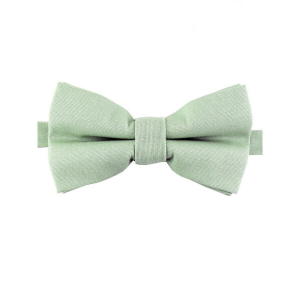 Noeud papillon Vert tilleul