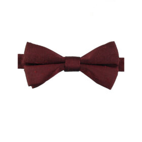 Noeud papillon Bordeaux en soie